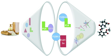 Graphical abstract: Fragment pharmacophore-based in silico screening: a powerful approach for efficient lead discovery