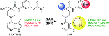 Graphical abstract: Tetrahydro-pyrimido-indoles as selective LIMK inhibitors: synthesis, selectivity profiling and structure–activity studies