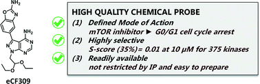 Graphical abstract: eCF309: a potent, selective and cell-permeable mTOR inhibitor