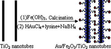 Graphical abstract: Design, synthesis of uniform Au nanoparticles modified Fe2O3–TiO2 coaxial nanotubes and their enhanced thermal stability and photocatalytic activity