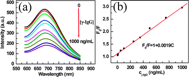 Graphical abstract: Determination of gamma-globulin at nanogram levels by its quenching effect on the fluorescence of a red emitting conjugated polymer