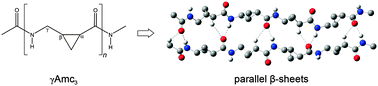 Graphical abstract: Conformational preferences of β-sheet structures in cyclopropane-containing γ-peptides