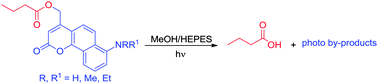 Graphical abstract: Aminobenzocoumarinylmethyl esters as photoactive precursors for the release of butyric acid
