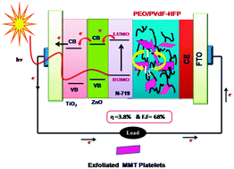 Graphical abstract: Chemically exfoliated nanosilicate platelet hybridized polymer electrolytes for solid state dye sensitized solar cells