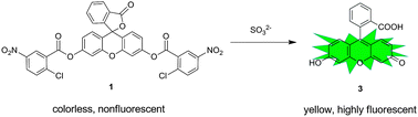 Graphical abstract: A highly sensitive and selective turn-on fluorescent probe for sulfite and its application in biological imaging