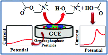 Graphical abstract: A polyaniline–zeolite nanocomposite material based acetylcholinesterase biosensor for the sensitive detection of acetylcholine and organophosphates