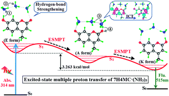 Graphical abstract: Evidence for hydrogen-bonded ammonia wire influencing the ESMPT process of the 7-hydroxy-4-methylcoumarin·(NH3)3 cluster