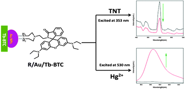 Graphical abstract: A novel dual-functional fluorescent chemosensor for the selective detection of 2,4,6-trinitrotoluene and Hg2+
