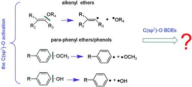 Graphical abstract: Theoretical study on homolytic C(sp2)–O cleavage in ethers and phenols