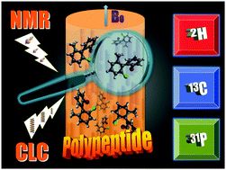 Graphical abstract: Multi-nuclear NMR of axially chiral biaryls in polypeptide orienting solvents: spectral discriminations and enantiorecognition mechanisms
