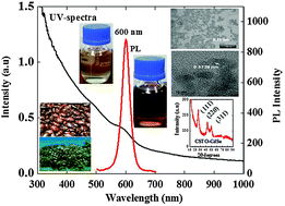 Graphical abstract: CdSe quantum dots capped with naturally occurring biobased oils
