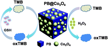 Graphical abstract: PB@Co3O4 nanoparticles as both oxidase and peroxidase mimics and their application for colorimetric detection of glutathione