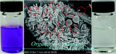 Graphical abstract: Ethanol-guided synthesis of (flower-on-leaf)-like aniline oligomers with excellent adsorption properties