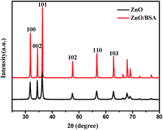Graphical abstract: Bovine serum albumin modified ZnO to degrade organic dyes under ultraviolet light irradiation