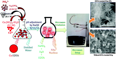 Graphical abstract: Effect of a chelating agent at different pH on the spectroscopic and structural properties of microwave derived hydroxyapatite nanoparticles: a bone mimetic material