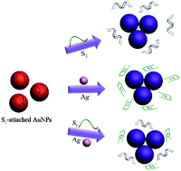 Graphical abstract: Label-free colorimetric logic gates based on free gold nanoparticles and the coordination strategy between cytosine and silver ions