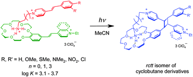 Graphical abstract: Synthesis, structure, and stereospecific cross-[2+2] photocycloaddition of pseudodimeric complexes based on ammonioalkyl derivatives of styryl dyes