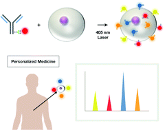 Graphical abstract: Quantum dot multiplexing for the profiling of cellular receptors