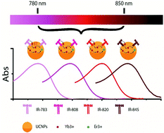 Graphical abstract: Tailoring dye-sensitized upconversion nanoparticle excitation bands towards excitation wavelength selective imaging