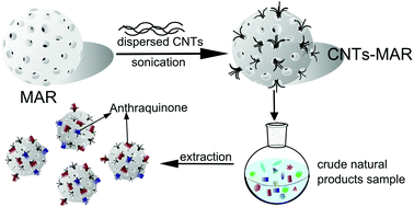Graphical abstract: A physical entrapment method for the preparation of carbon nanotube reinforced macroporous adsorption resin with enhanced selective extraction performance