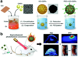 Graphical abstract: Dual-enhanced photothermal conversion properties of reduced graphene oxide-coated gold superparticles for light-triggered acoustic and thermal theranostics