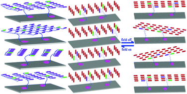 Graphical abstract: Non-covalent modification of reduced graphene oxide by a chiral liquid crystalline surfactant