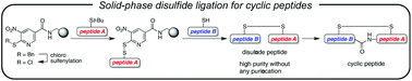 Graphical abstract: 3-Nitro-2-pyridinesulfenyl-mediated solid-phase disulfide ligation in the synthesis of disulfide bond-containing cyclic peptides