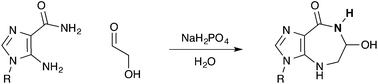 Graphical abstract: One-step protecting-group-free synthesis of azepinomycin in water