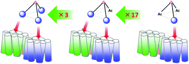 Graphical abstract: Trivalent ligands for CXCR4 bearing polyproline linkers show specific recognition for cells with increased CXCR4 expression