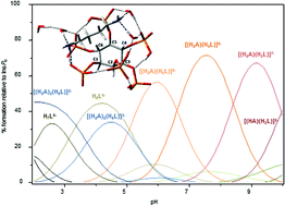 Graphical abstract: Interaction of myo-inositol hexakisphosphate with biogenic and synthetic polyamines