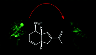 Graphical abstract: Identification of noreremophilane-based inhibitors of angiogenesis using zebrafish assays
