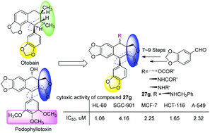 Graphical abstract: Design, synthesis and anticancer activities of novel otobain derivatives