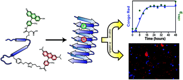 Graphical abstract: Comparison of strategies for non-perturbing labeling of α-synuclein to study amyloidogenesis