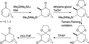Graphical abstract: Conversion of cycloalk-2-enones into 2-methylcycloalkane-1,3-diones—assessment of various Tamao-Fleming procedures and mechanistic insight into the use of the Me3SiMe2Si unit