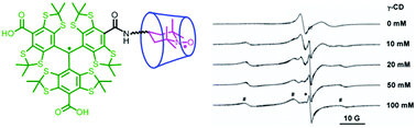 Graphical abstract: Supramolecular host–guest interaction of trityl-nitroxide biradicals with cyclodextrins: modulation of spin–spin interaction and redox sensitivity