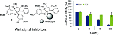 Graphical abstract: Synthesis of rocaglamide derivatives and evaluation of their Wnt signal inhibitory activities