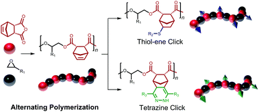Graphical abstract: Functional polyesters derived from alternating copolymerization of norbornene anhydride and epoxides