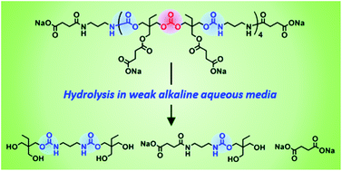 Graphical abstract: Synthesis and hydrolytic properties of water-soluble poly(carbonate–hydroxyurethane)s from trimethylolpropane