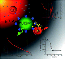Graphical abstract: Upconverting nanoparticle to quantum dot FRET for homogeneous double-nano biosensors