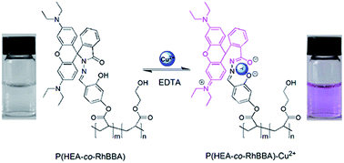 Graphical abstract: A novel reversible colorimetric chemosensor for the detection of Cu2+ based on a water-soluble polymer containing rhodamine receptor pendants