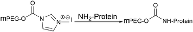 Graphical abstract: Novel reactive PEG for amino group conjugation
