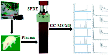 Graphical abstract: Simultaneous quantification of multiple volatile active components in rat plasma using a headspace-solid phase dynamic extraction method coupled to gas chromatography-tandem mass spectroscopy: application in a pharmacokinetic study of Longhu Rendan pills