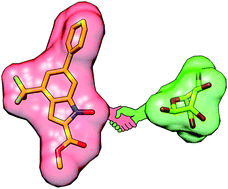 Graphical abstract: Synthesis and biological evaluation of non-glucose glycoconjugated N-hydroyxindole class LDH inhibitors as anticancer agents