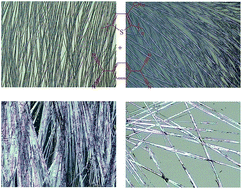 Graphical abstract: Fabrication and physical properties of self-assembled ultralong polymer/small molecule hybrid microstructures