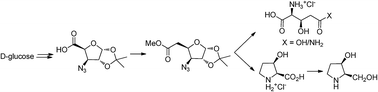 Graphical abstract: d-Glucose based syntheses of β-hydroxy derivatives of l-glutamic acid, l-glutamine, l-proline and a dihydroxy pyrrolidine alkaloid
