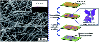 Graphical abstract: Anisotropic growth of Ni3(BO3)2 nanowhiskers on nickel substrates and its application in the fabrication of superhydrophilic surfaces