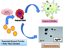 Graphical abstract: Green synthesis of silver nano/micro particles using TKP and PVA and their anticancer activity