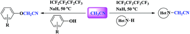 Graphical abstract: Perfluorobutyl iodide-assisted direct cyanomethylation of azoles and phenols with acetonitrile