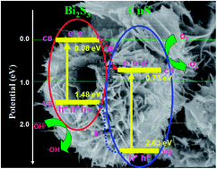 Graphical abstract: CuS–Bi2S3 hierarchical architectures: controlled synthesis and enhanced visible-light photocatalytic performance for dye degradation