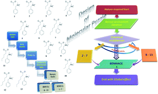 Graphical abstract: The constitutive behavior of ammonium ionic liquids: a physiochemical approach